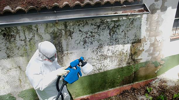 Trusted Mold Inspection service in Greensboro, GA - Cheap Mold Removal